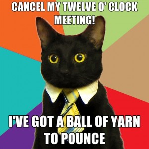 Business Cat ball of yarn