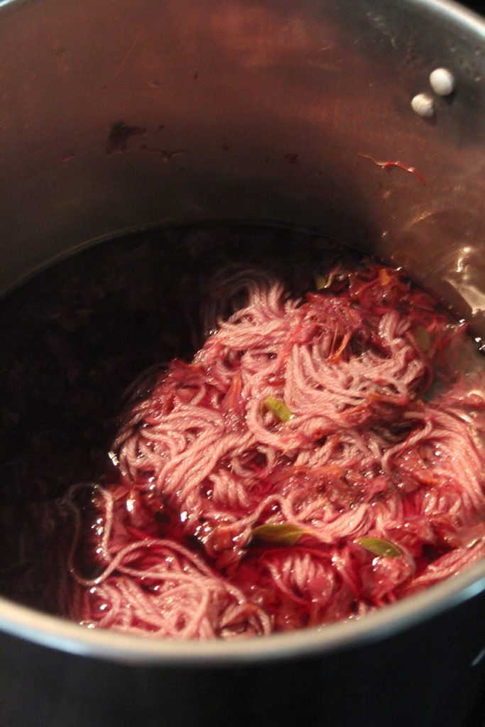 Yarn soaking in dyepot filled with reddish azalea blossoms and leaves