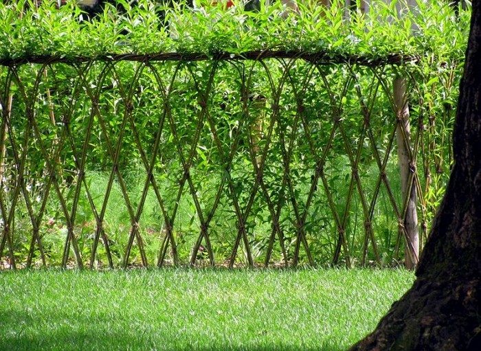 Woven willow fence.