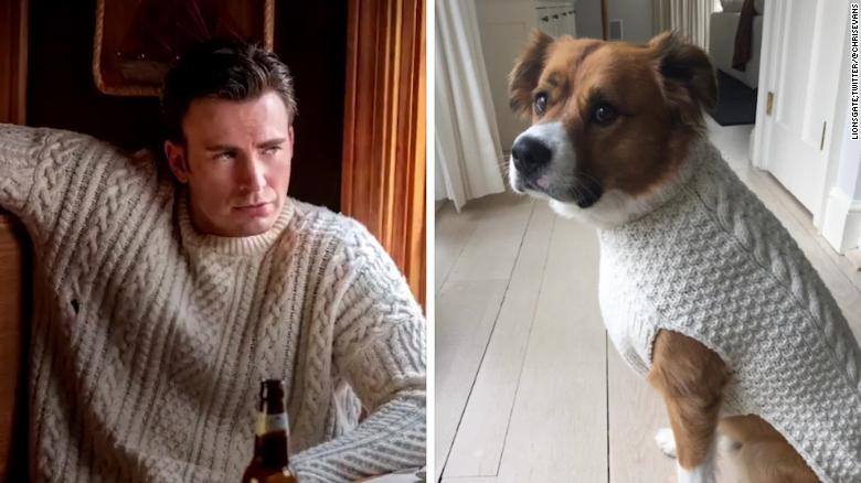 Chris Evans and his dog wearing cream sweaters