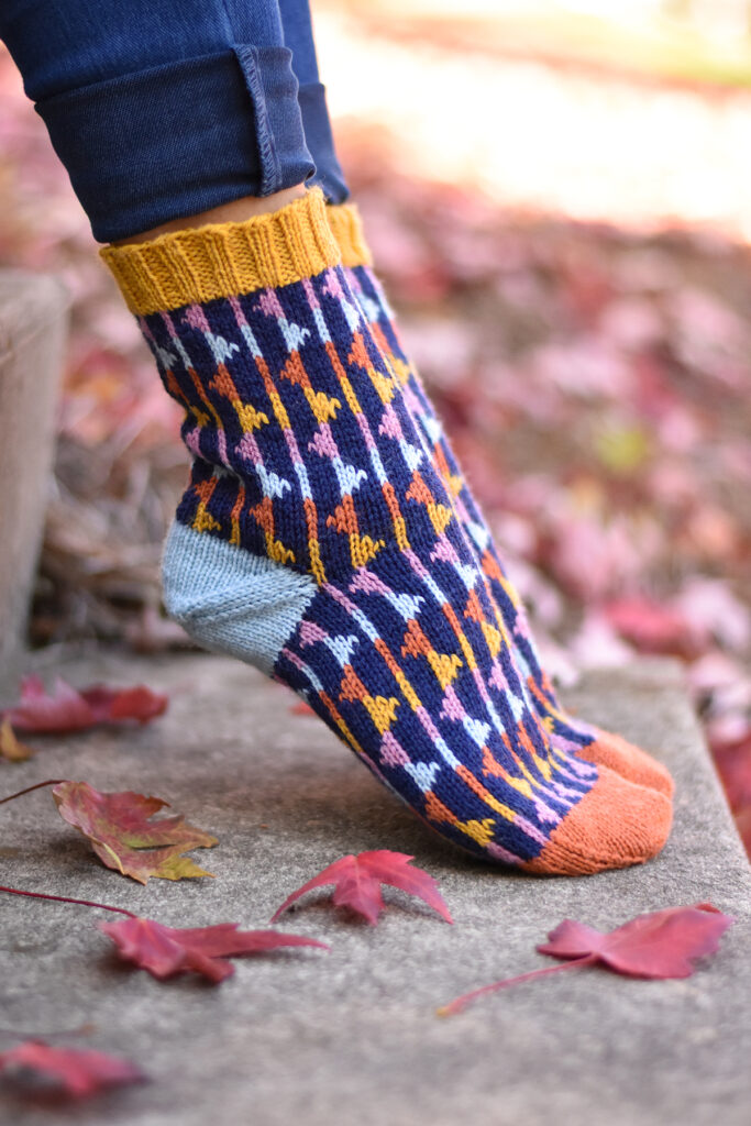 A close-up view of the handknit Party Flag Socks, shown from the side. The person wearing the socks has their toes pointed, and heels lifted off the ground. There are fallen maple leaves surrounding their feet. 