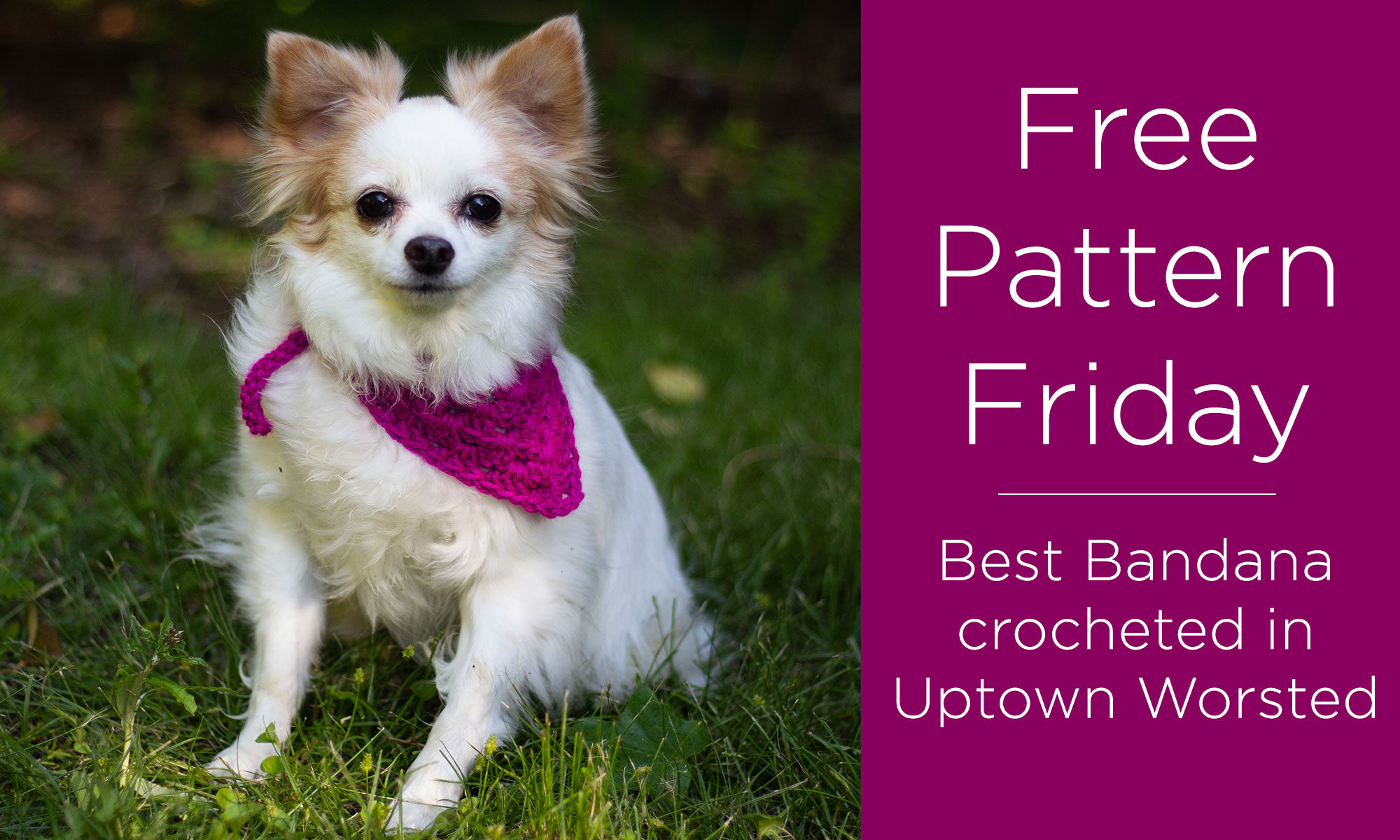 Photo of a dog wearing the Best Bandana with text "Free Pattern Friday - Best Bandana crocheted in Uptown Worsted"