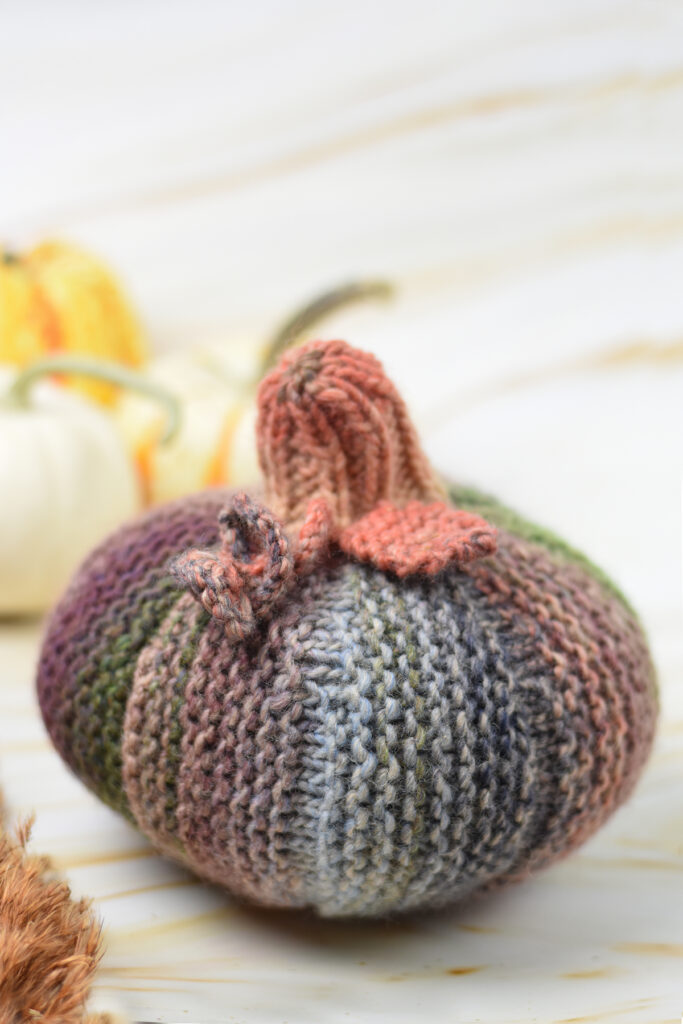 Class: Crochet Beanie Workshop - Apricot Yarn & Supply